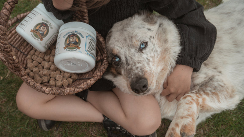 How Our Dogs Inspired Pawssups